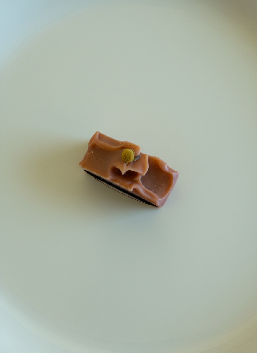 Natural Soap | Spiced Apple + Cinnamon - Fresh Apple Cider, Sweet Orange, Cinnamon + Clove